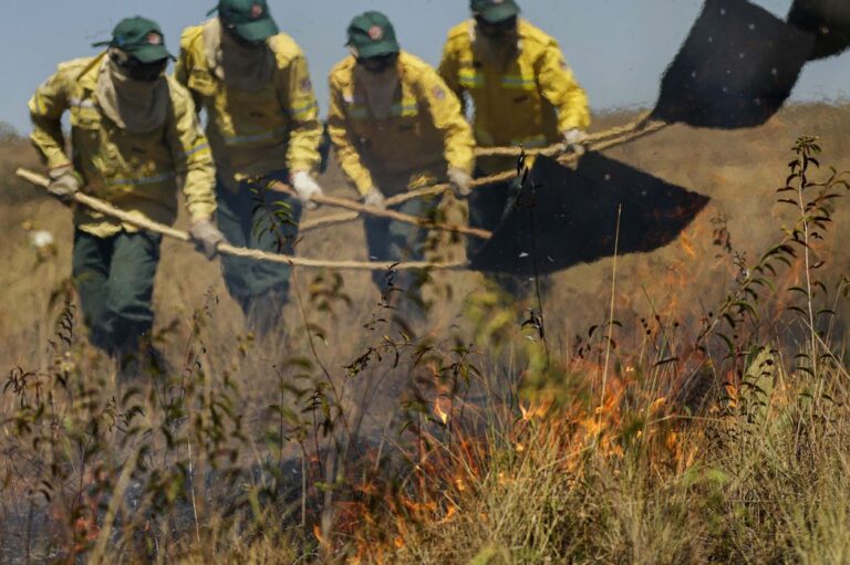 A brigada de incêndio da Prevfogo composta com membros da comunidade quilombola Kalunga, durante simulação de combate ao fogo no cerrado no Engenho II Foto: Joédson Alves/Agência Brasil