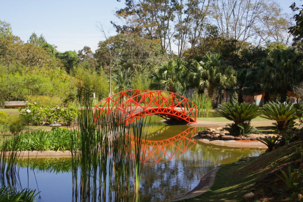 O Jardim Botânico de Brasília reúne 1.750 espécies vegetais e mais de 500 de animais vertebrados, além de centenas de invertebrados