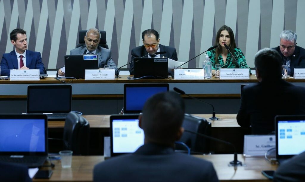 Audiência Pública no Senado | Foto: Lula Marques/Agência Brasil