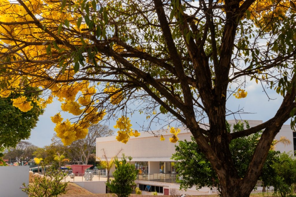 museu-nacional-oficinas-gps-brasilia (1)