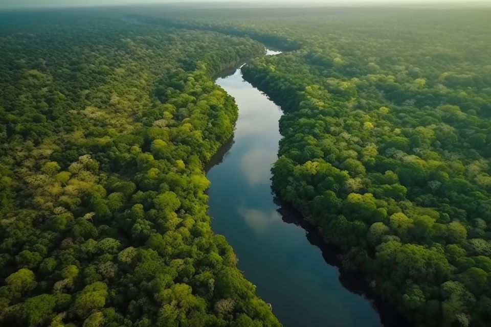 amazônia - unb - gps - brasilia