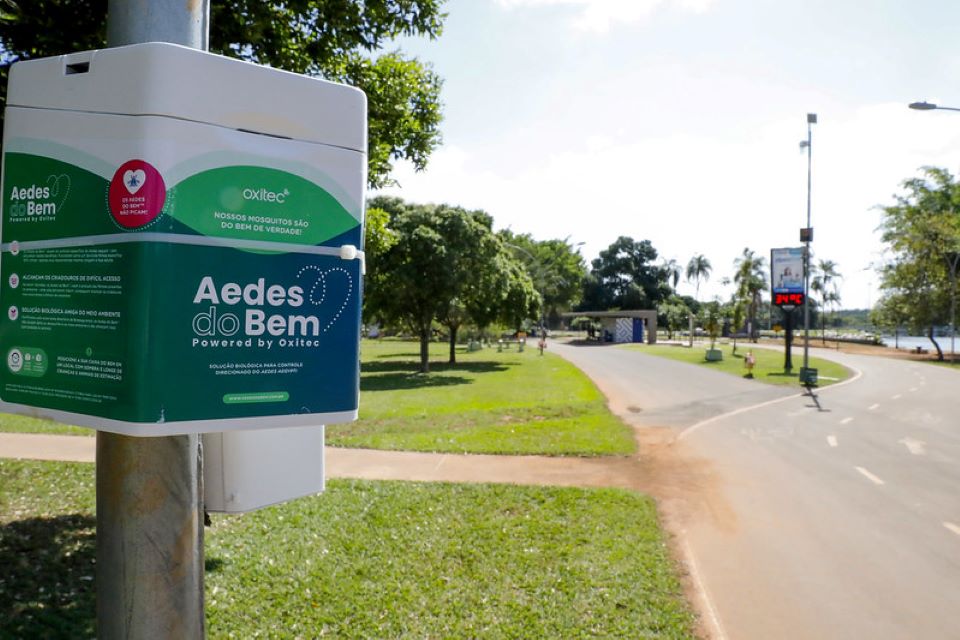 Parque da Cidade agora tem armadilhas para conter proliferação do Aedes aegypti