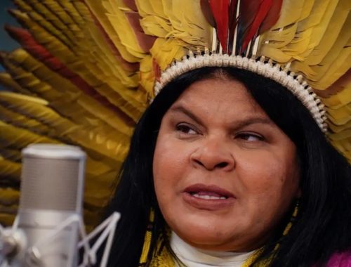 Ministra dos Povos Indígenas, Sonia Guajajara condenou as declarações do técnico palmeirense