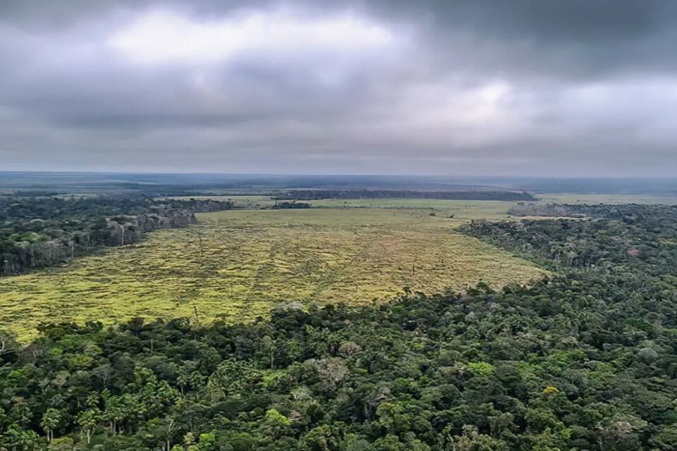 Em janeiro, desmatamento na Amazônia cai em 40%