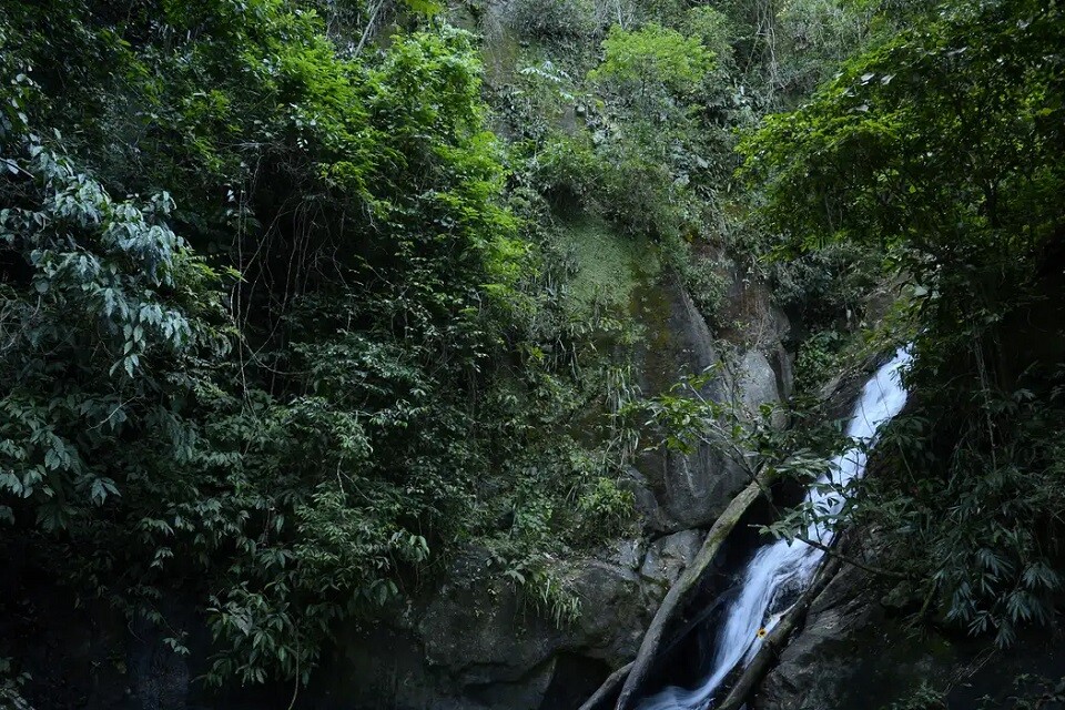 Demanda por experiências ao ar livre e perto da natureza aumentou | Foto: Tomaz Silva/ Agência Brasil