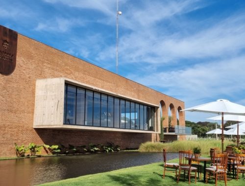 Vinícola Brasília chega para revolucionar o mercado de vinhos do país