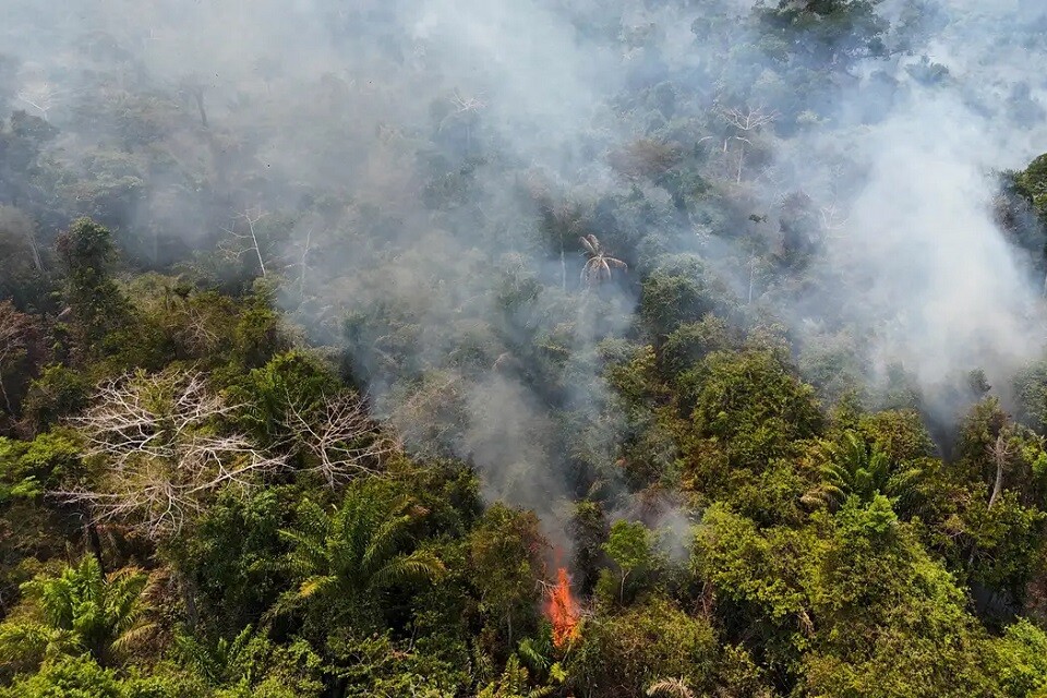 De 2022 para 2023, a perda de floresta primária no Brasil caiu de 43% para 30% | Fotos: Bruno Kelly/ REUTERS