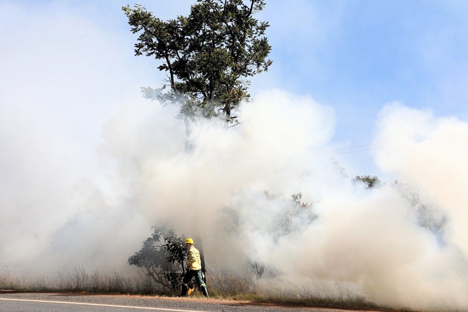O objetivo do decreto é a prevenção contra incêndios florestais no DF | Foto: Paulo H. Carvalho/ Agência Brasília