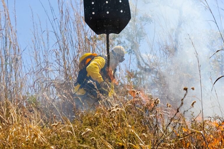 Texto aumenta penas quando os danos ambientais forem casusados de forma dolosa e tiverem motivação torpe | Foto: Joel Rodrigues/Agência Brasília