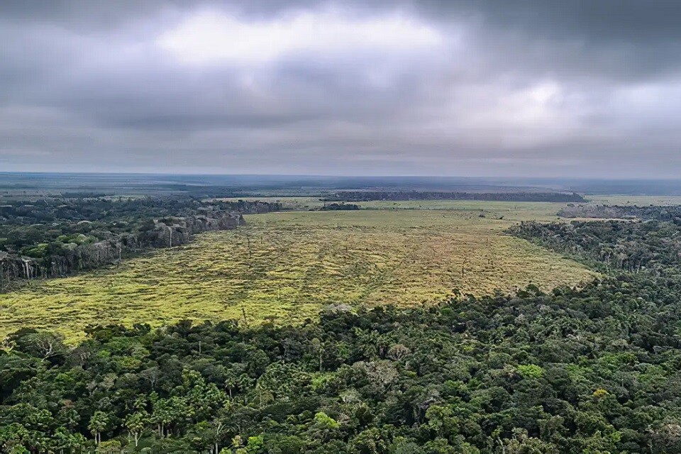 Áreas desmatadas na Amazônia tiveram redução de 62% em relação a 2022 | Foto: Divulgação/ Polícia Federal