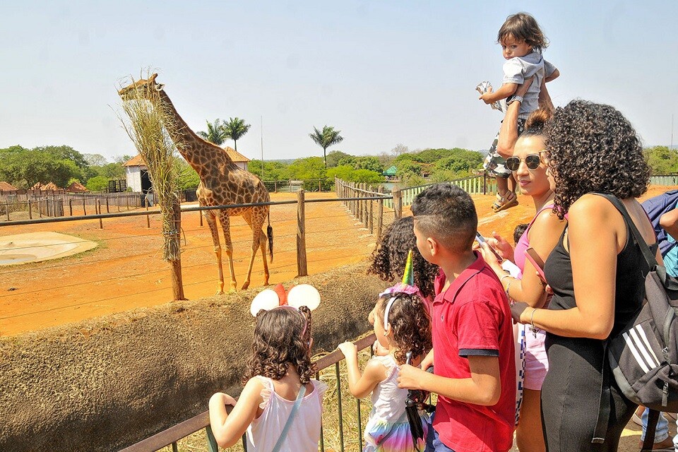 Zoológico terá funcionamento normal | Foto: Lúcio Bernardo Jr./Agência Brasília