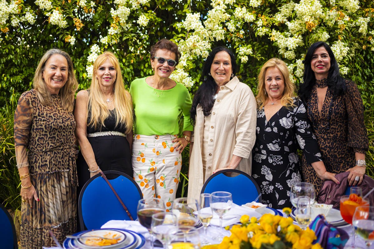 Elvira Albuquerque, Simone Novaes, Rosalia Peixoto, Tâmara Bontempo, Silvana Moura e Sônia Gontijo