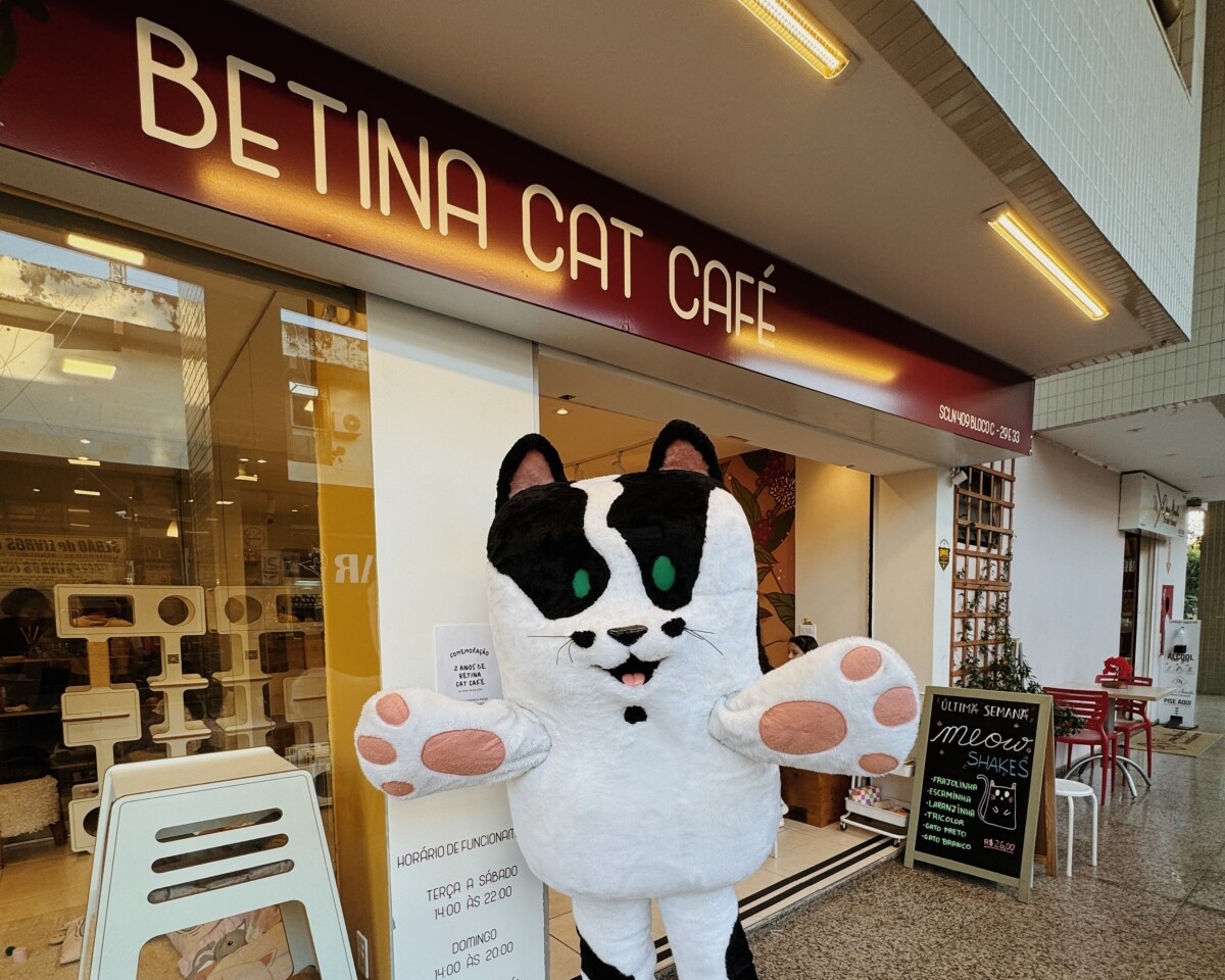 Betinona, uma das atrações do Betina Cat Café