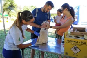 Manter a vacinação em dia pode ajudar na prevenção de várias doenças dos pets | Foto: Paulo H. Carvalho/ Agência Brasília