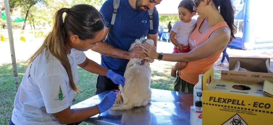 Manter a vacinação em dia pode ajudar na prevenção de várias doenças dos pets | Foto: Paulo H. Carvalho/ Agência Brasília