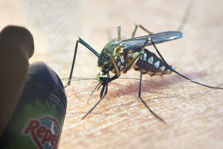 O Distrito Federal é o primeiro em incidência de dengue no país | Fotos: Jorge Araujo/ Fotos Publicas