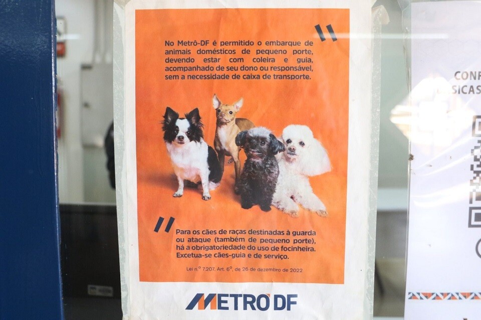 O tutor é responsável por garantir a segurança do animal e dos passageiros | Foto: Matheus H. Souza/ Agência Brasília