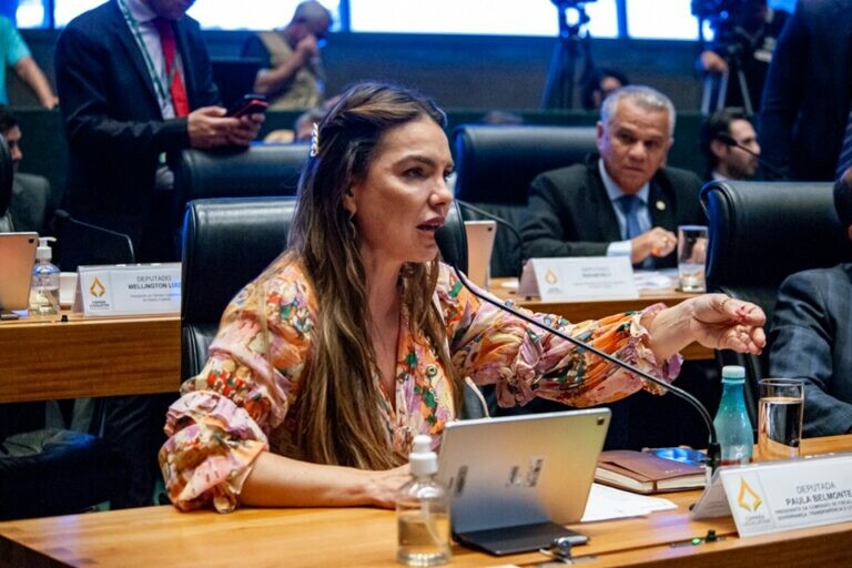 Paula Belmonte também culpou o Iphan pela aprovação do projeto