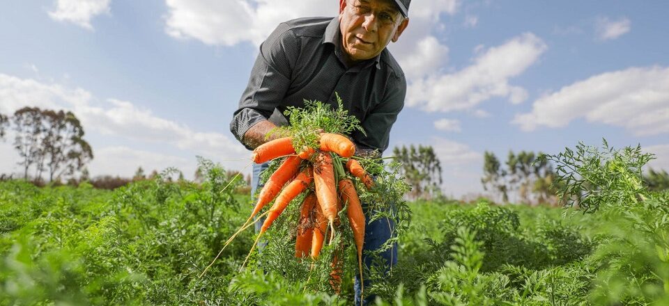 “A gente planta e já tem a demanda daquela venda que vai para as escolas”, disse o agricultor familiar Cliomarco Fernandes | Fotos: Tony Oliveira/ Agência Brasília