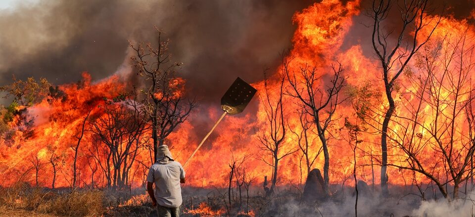 As chamas no Parque Nacional de Brasília também ameaçam residências na região