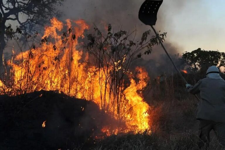 Atualmente, o Brasil tem quase 4 mil focos de incêndios | Foto: Valter Campanato/ Agência Brasil