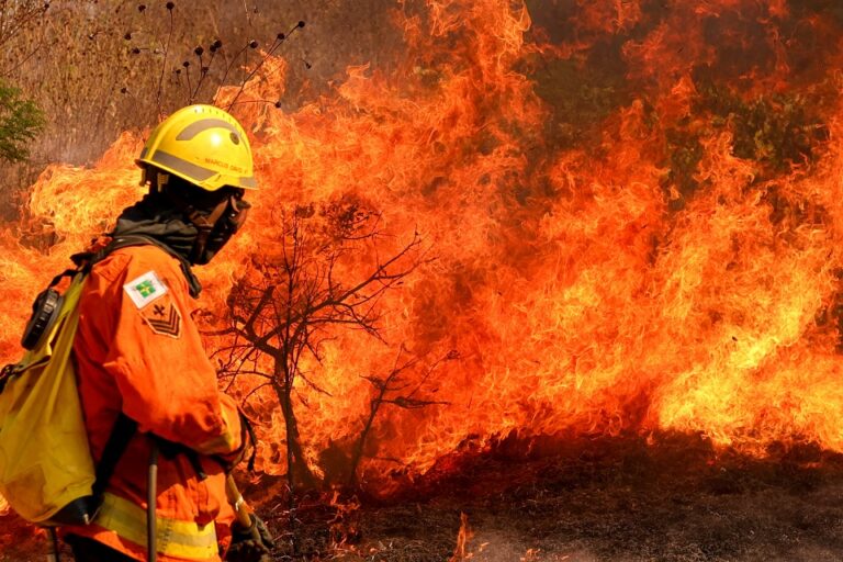 Equipes de combate a incêndios terão reforço do pessoal administrativo do Corpo de Bombeiros