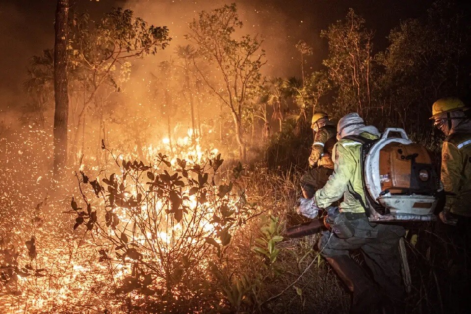 Mesmo que não sejam intencionais, todos os incêndios causados por humanos são considerados criminosos | Foto: Mayangdi Inzaulgarat/ Ibama