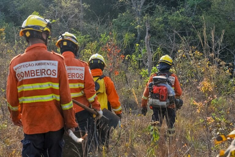 Nesta época do ano, a média diária de ocorrências de incêndios florestais chega a 100 chamados | Foto: Joel Rodrigues/ Agência Brasília