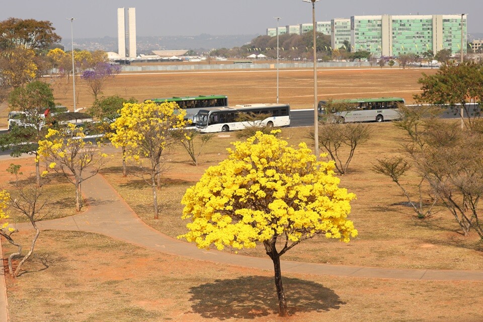 Inmet alerta para calor intenso e baixa umidade no DF e em várias regiões