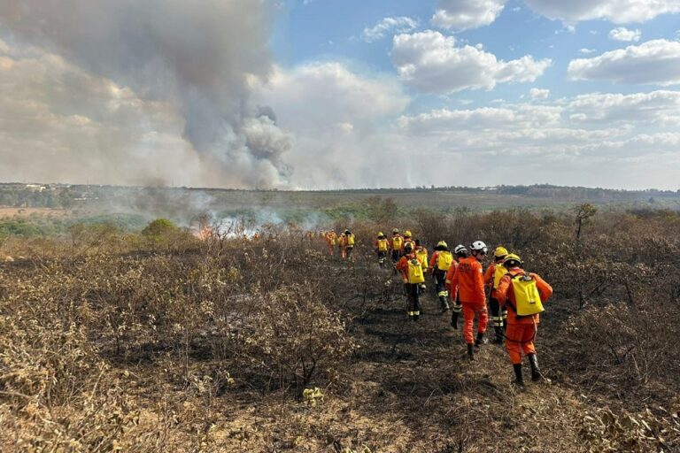 O comando do CBMDF instruiu os responsáveis pelos órgãos envolvidos a tomarem as providências necessárias para implementar a suspensão | Foto: Divulgação/ CBMDF