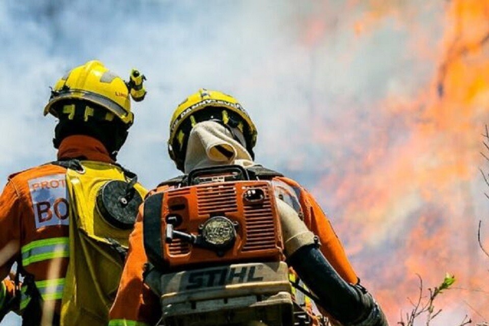 Pelo menos 20 bombeiros e seis viaturas foram deslocados para enfrentar as chamas na Flona | Foto: Divulgação/ CBMDF