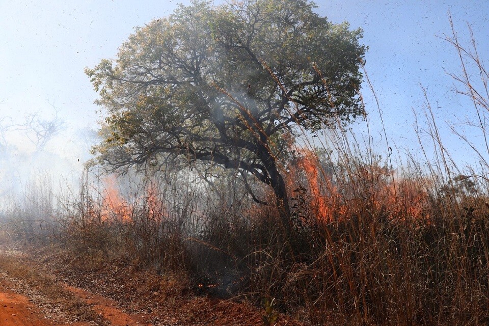 Três das cinco linhas de fogo detectadas foram controladas; 2.176 hectares foram consumidos pelas chamas | Foto: Paulo H. Carvalho/ Agência Brasília