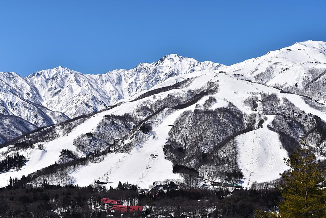 #SkiSeason: as principais estações de esqui do Japão
