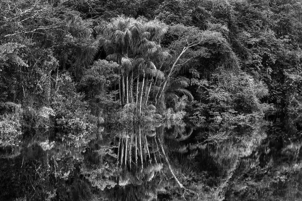 Rio Jaú, no Amazonas