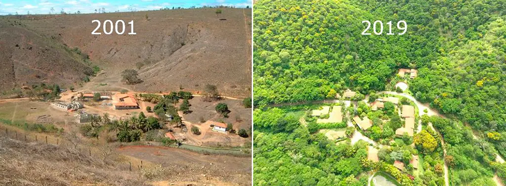Sebastião Salgado e a mulher plantaram mais de três milhões de árvores em área devastada de MG