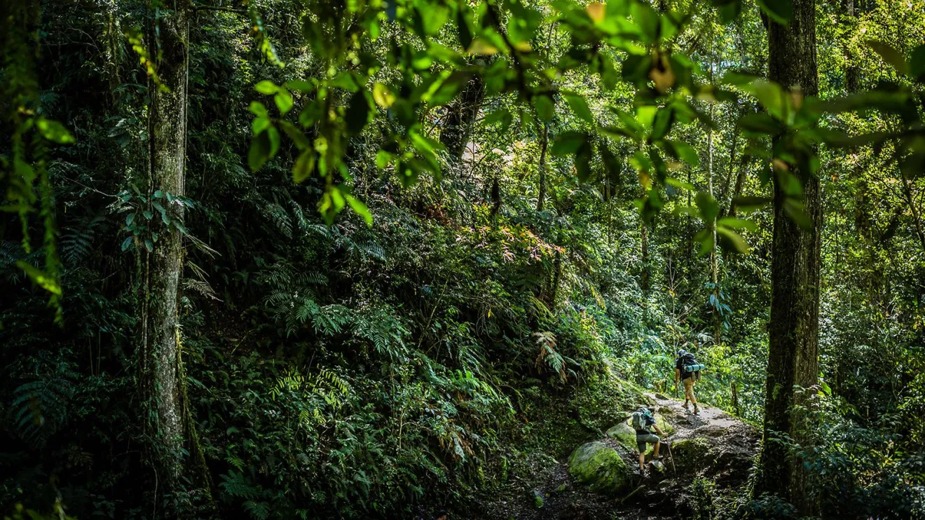 Adrenalina on! Conheça seis trilhas perigosas ao redor do mundo