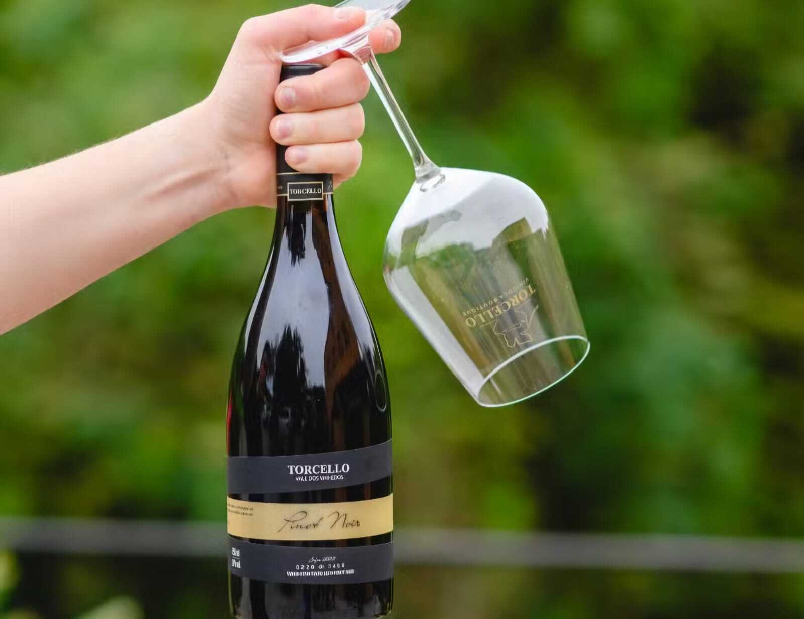 Adriana Nasser: Últimas novidades do mundo dos vinhos - adriana adriana - GPS Brasília - Portal de Notícias do DF